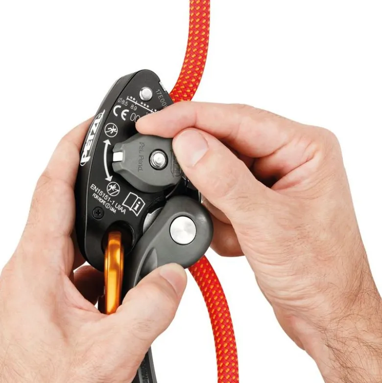 Assicuratore GRIGRI+