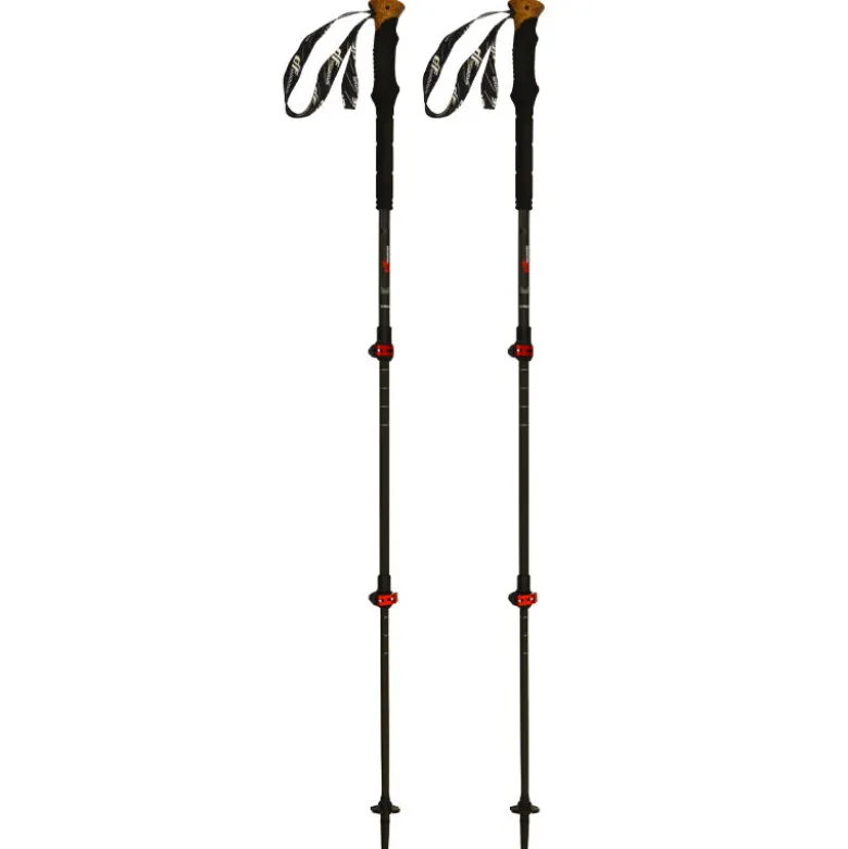 Bastoncini Carbon