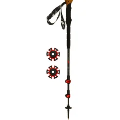 Bastoncini Carbon