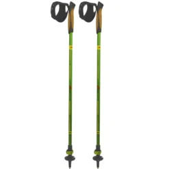 Bastoncini Nordic Walking Pro