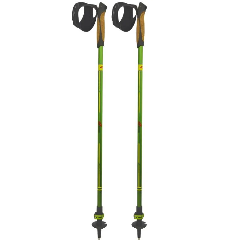 Bastoncini Nordic Walking Pro