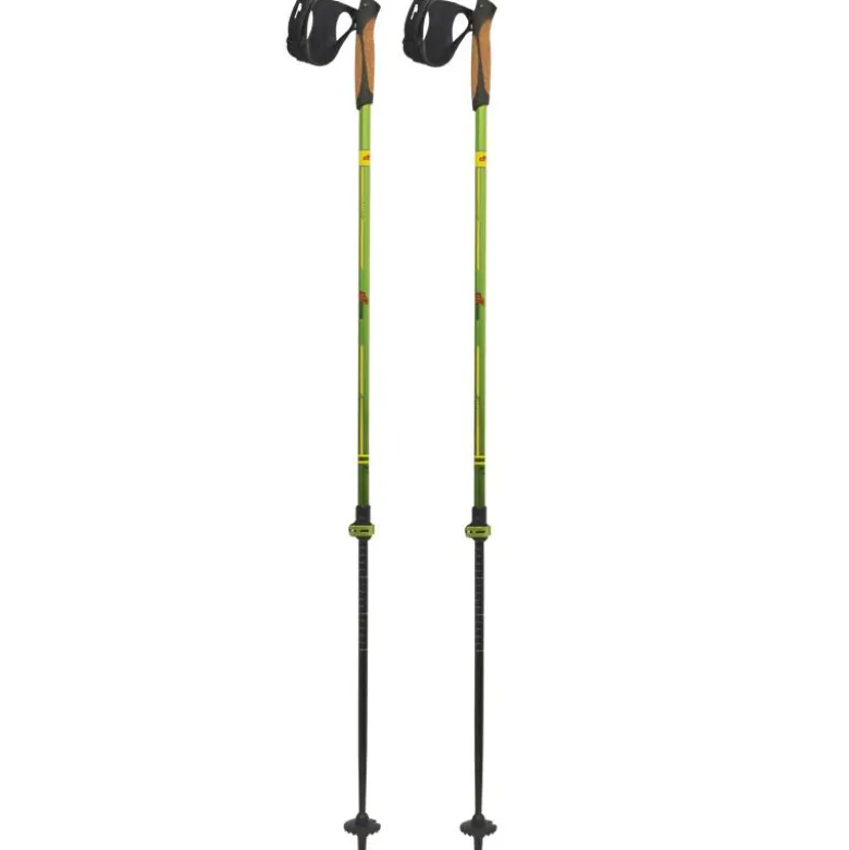 Bastoncini Nordic Walking Pro