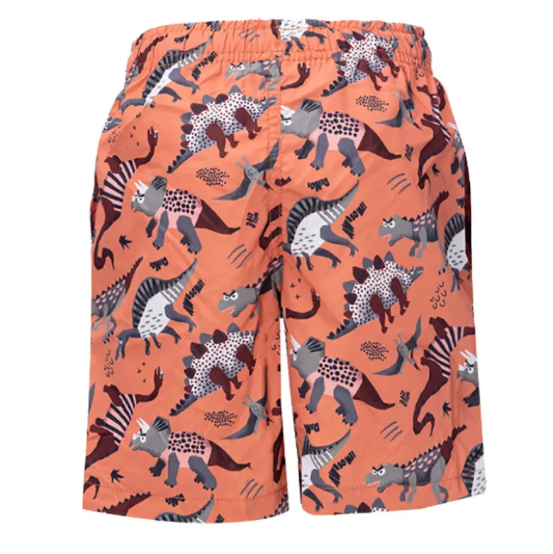 Boxer bambino little dinosauri