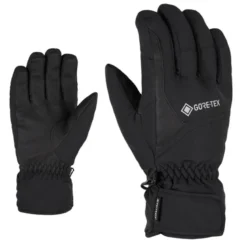 Guanti uomo Garwen-Z GTX