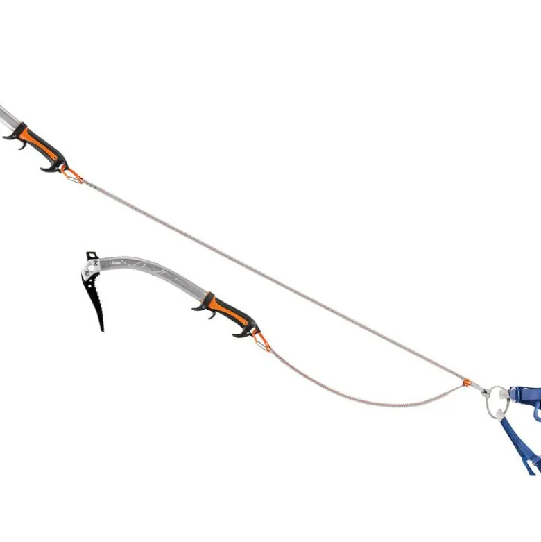 Longe Elastica V Link
