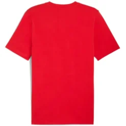 Maglia uomo AC Milan FtblEssentials