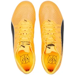 Scarpe EvoSpeed Distance 11