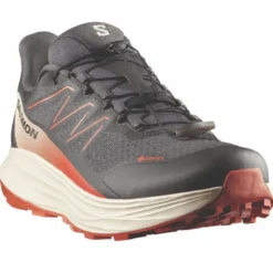 Scarpe uomo Alpharide 2 GTX