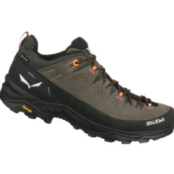 Scarpe uomo ALP Trainer 2 GTX