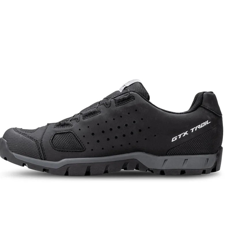 Scarpe uomo Trail Evo GTX