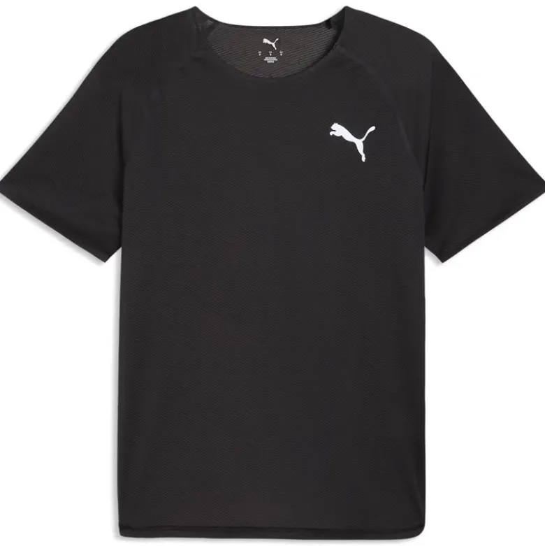 T-shirt uomo Lightspeed